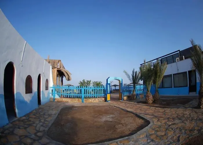 Dolphin Camp Hostel