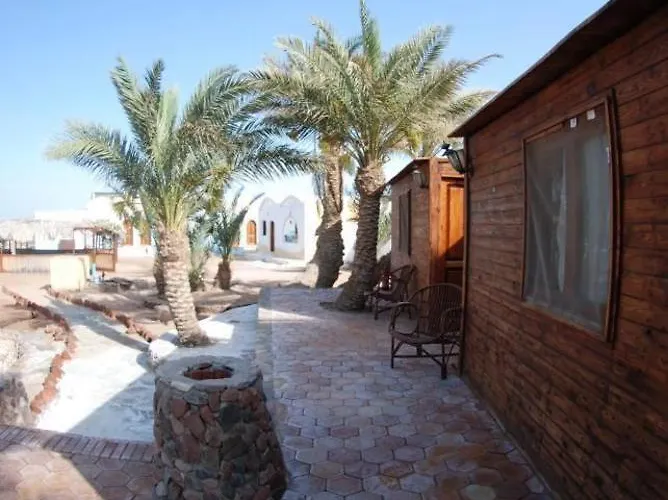Dolphin Camp Hostel *