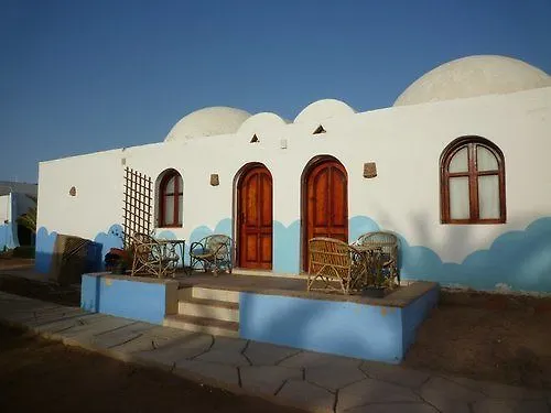 Dolphin Camp Hostel *