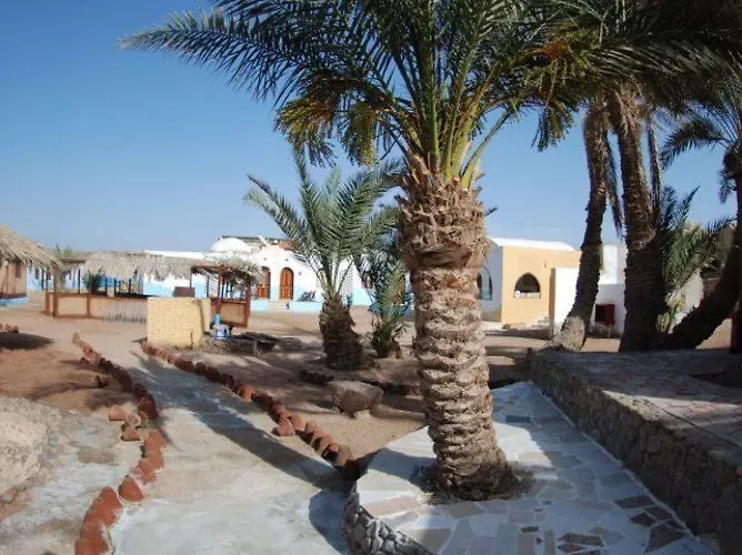 Dolphin Camp