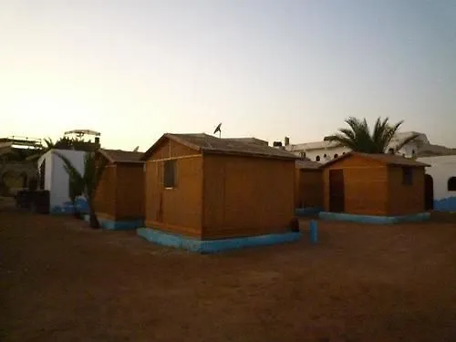 Dolphin Camp *